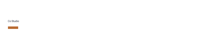 Co Studio logo